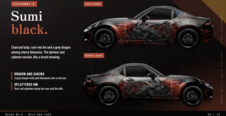 Livery presentation 5